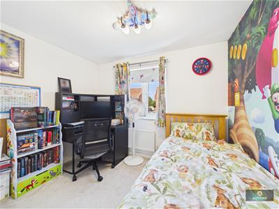 Picture 17